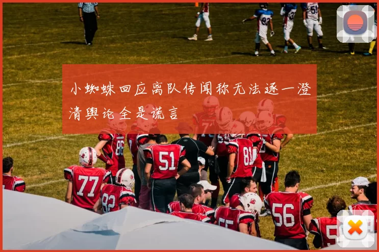 小蜘蛛回应离队传闻称无法逐一澄清舆论全是谎言