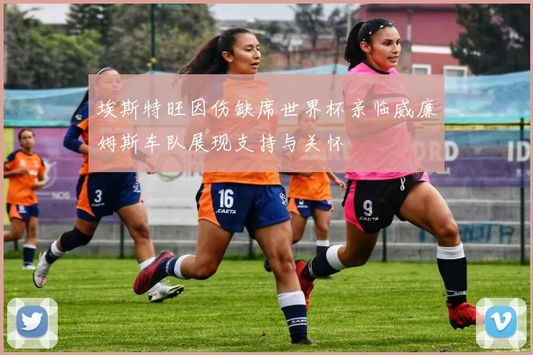埃斯特旺因伤缺席世界杯亲临威廉姆斯车队展现支持与关怀
